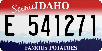 ID license plate E541271