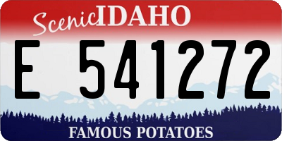 ID license plate E541272