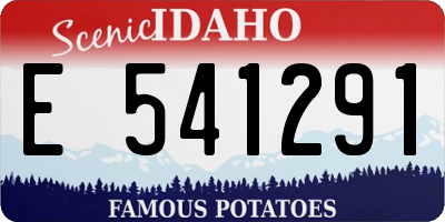 ID license plate E541291