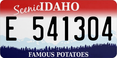 ID license plate E541304