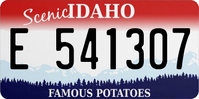 ID license plate E541307
