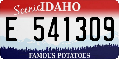 ID license plate E541309