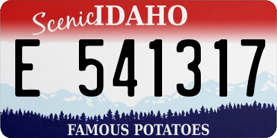 ID license plate E541317