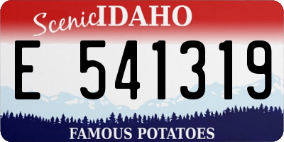 ID license plate E541319