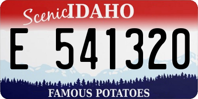 ID license plate E541320