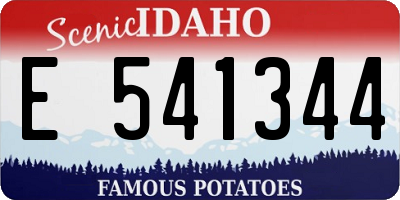 ID license plate E541344