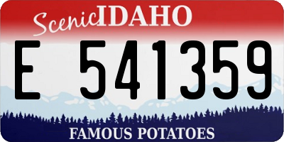 ID license plate E541359