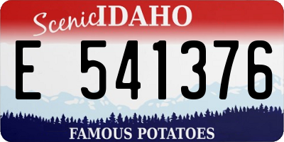 ID license plate E541376