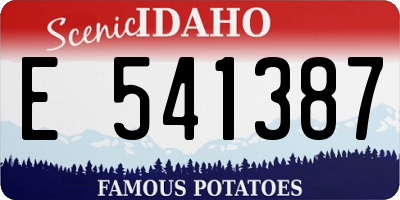 ID license plate E541387