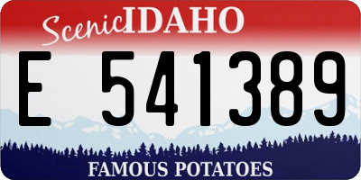 ID license plate E541389