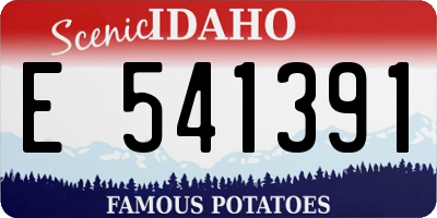 ID license plate E541391