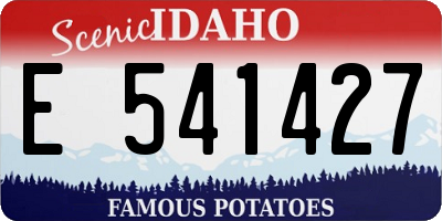 ID license plate E541427
