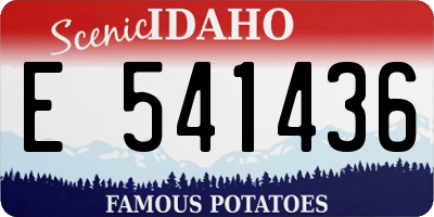 ID license plate E541436