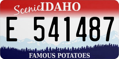 ID license plate E541487