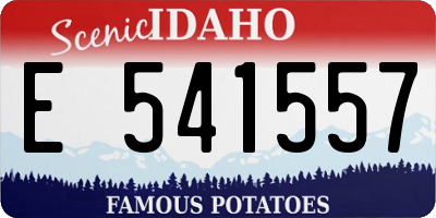 ID license plate E541557