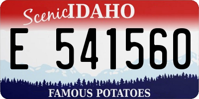 ID license plate E541560