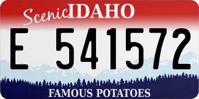 ID license plate E541572