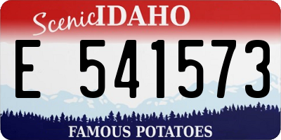 ID license plate E541573