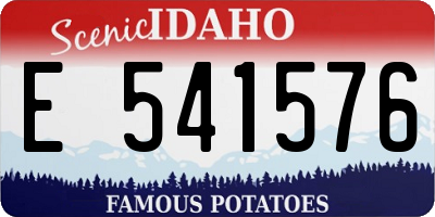 ID license plate E541576