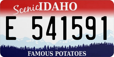 ID license plate E541591