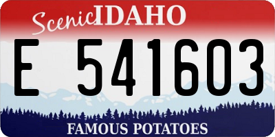 ID license plate E541603