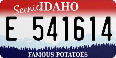 ID license plate E541614