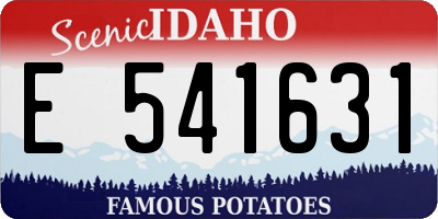 ID license plate E541631