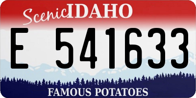 ID license plate E541633