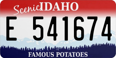 ID license plate E541674