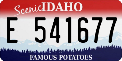ID license plate E541677