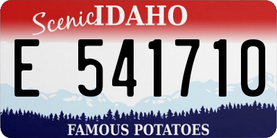 ID license plate E541710
