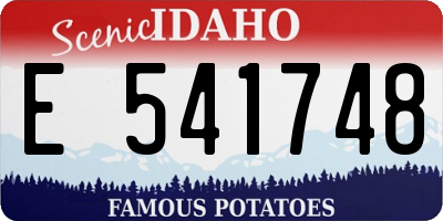 ID license plate E541748