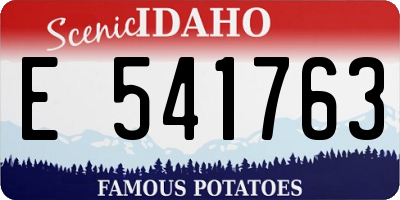 ID license plate E541763