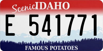 ID license plate E541771