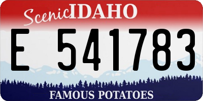 ID license plate E541783