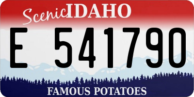 ID license plate E541790
