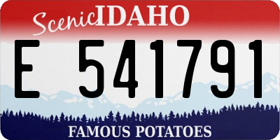ID license plate E541791