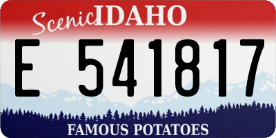 ID license plate E541817