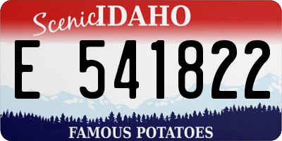 ID license plate E541822