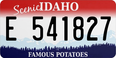 ID license plate E541827