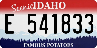 ID license plate E541833