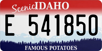 ID license plate E541850