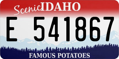 ID license plate E541867