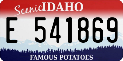 ID license plate E541869