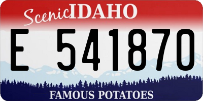 ID license plate E541870