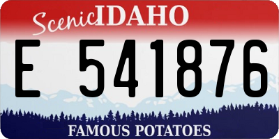 ID license plate E541876