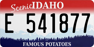 ID license plate E541877