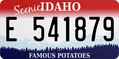 ID license plate E541879