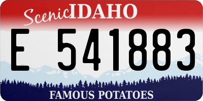 ID license plate E541883