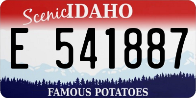 ID license plate E541887